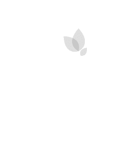 footer_logo